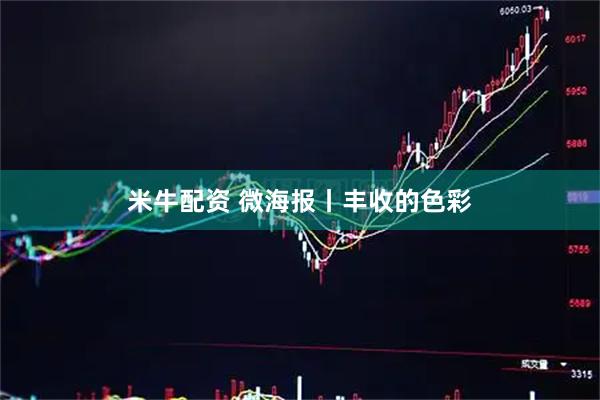 米牛配资 微海报丨丰收的色彩