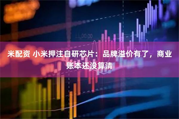 米配资 小米押注自研芯片：品牌溢价有了，商业账本还没算清