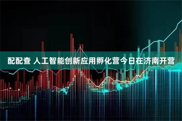 配配查 人工智能创新应用孵化营今日在济南开营